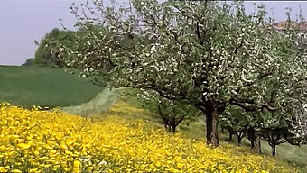 Filme Completo De Uma Garota Se Masturbando E Comendo Buceta.