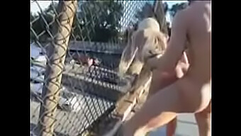 Steamy Outdoor Sex With Blonde Babe Getting Her Pussy Pounded Hardcore