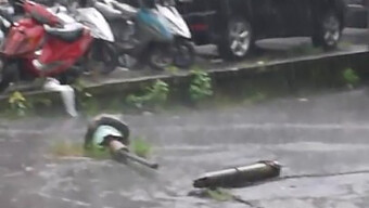 Teman Yang Menarik Dan Ramah Dengan Polio